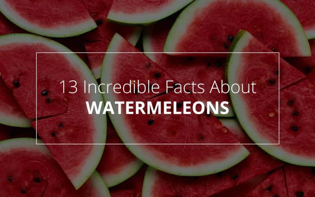 Watermelons Facts & Benifits