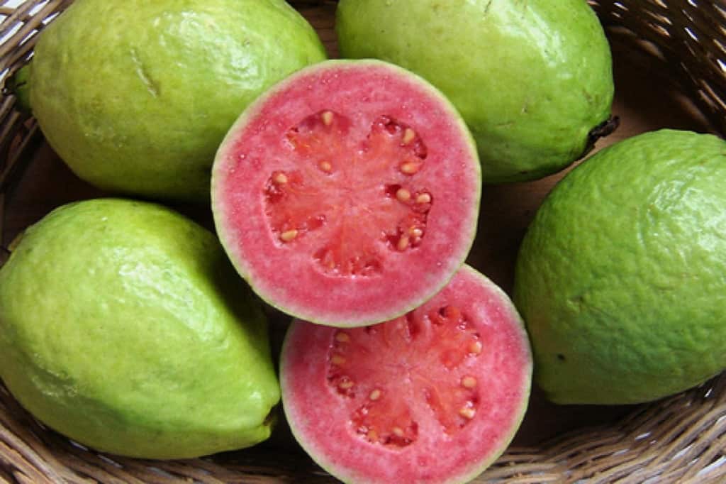 Heathy Benefits & Interesting Facts About Guava